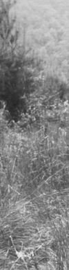 header links